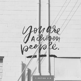 1 Peter 2:9-10 - But you are a chosen people, a royal priesthood, a holy nation, God’s special possession, that you may declare the praises of him who called you out of darkness into his wonderful light. Once you were not a people, but now you are the people of God; once you had not received mercy, but now you have received mercy.