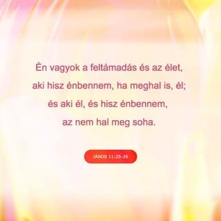 János 11:25-26 - Jézus ekkor ezt mondta neki: Én vagyok a feltámadás és az élet, aki hisz énbennem, ha meghal is, él; és aki él, és hisz énbennem, az nem hal meg soha. Hiszed-e ezt?