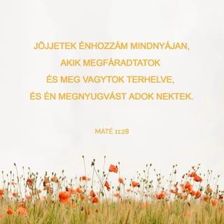 AZ ÖRÖHÍR MÁTÉ SZERINT 11:28 - Jöjjetek hozzám mind, akik elfáradtatok és teher alatt éltek. Én nyugalmat adok nektek.