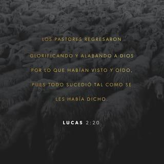 San Lucas 2:20 - Los pastores, por su parte, regresaron dando gloria y alabanza a Dios por todo lo que habían visto y oído, pues todo sucedió como se les había dicho.