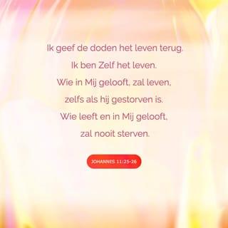 Johannes 11:25 - ‘Ik geef de doden het leven terug,’ zei Jezus tegen haar. ‘Ik ben Zelf het leven. Wie in Mij gelooft, zal leven, zelfs als hij gestorven is.