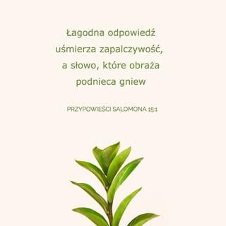 Przysłów 15:1 - Łagodna odpowiedź uśmierza zapalczywość, a przykre słowa wzniecają gniew.