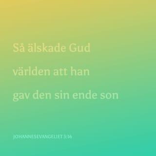 Johannesevangeliet 3:16 - Så älskade Gud världen att han gav den sin ende son, för att de som tror på honom inte skall gå under utan ha evigt liv.