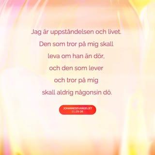 Johannes 11:25-26 - Men Jesus sa till henne: ”Jag är uppståndelsen och livet. Den som tror på mig ska leva, även om han dör. Och var och en som lever och tror på mig ska aldrig i evighet dö. Tror du det?”