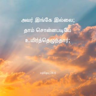 மத்தேயு 28:5-6 TAOVBSI