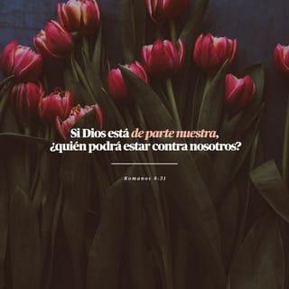 Romanos 8:31 - Solo nos queda decir que, si Dios está de nuestra parte, nadie podrá estar en contra de nosotros.