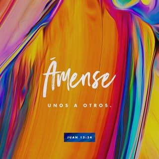 S. Juan 13:34-35 - Un mandamiento nuevo os doy: Que os améis unos a otros; como yo os he amado, que también os améis unos a otros. En esto conocerán todos que sois mis discípulos, si tuviereis amor los unos con los otros.