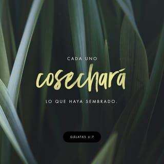 Gálatas 6:7-10 - No se engañen ustedes: nadie puede burlarse de Dios. Lo que se siembra, se cosecha. El que siembra en los malos deseos, de sus malos deseos recogerá una cosecha de muerte. El que siembra en el Espíritu, del Espíritu recogerá una cosecha de vida eterna. Así que no debemos cansarnos de hacer el bien; porque si no nos desanimamos, a su debido tiempo cosecharemos. Por eso, siempre que podamos, hagamos bien a todos, y especialmente a nuestros hermanos en la fe.