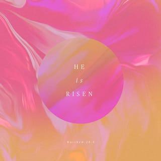 Matthew 28:5-6 - The angel said to the women, “Do not be afraid, for I know that you are looking for Jesus, who was crucified. He is not here; he has risen, just as he said. Come and see the place where he lay.