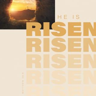 Matthew 28:5-6 - The angel said to the women, “Do not be afraid, for I know that you are looking for Jesus, who was crucified. He is not here; he has risen, just as he said. Come and see the place where he lay.