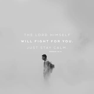 Exodus 14:14 - The LORD will fight for you, and you won't have to do a thing.”