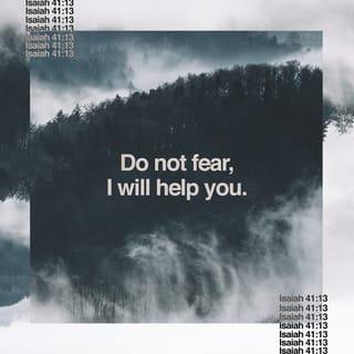 Isaiah 41:13-16 - For I am the LORD your God
who takes hold of your right hand
and says to you, Do not fear;
I will help you.
Do not be afraid, you worm Jacob,
little Israel, do not fear,
for I myself will help you,” declares the LORD,
your Redeemer, the Holy One of Israel.
“See, I will make you into a threshing sledge,
new and sharp, with many teeth.
You will thresh the mountains and crush them,
and reduce the hills to chaff.
You will winnow them, the wind will pick them up,
and a gale will blow them away.
But you will rejoice in the LORD
and glory in the Holy One of Israel.