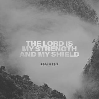 Psalm 28:6-8 - Blessed be the LORD!
For he has heard the voice of my pleas for mercy.
The LORD is my strength and my shield;
in him my heart trusts, and I am helped;
my heart exults,
and with my song I give thanks to him.

The LORD is the strength of his people;
he is the saving refuge of his anointed.