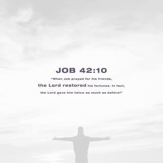 Job 42:10-11 - After Job had interceded for his friends, GOD restored his fortune—and then doubled it! All his brothers and sisters and friends came to his house and celebrated. They told him how sorry they were, and consoled him for all the trouble GOD had brought him. Each of them brought generous housewarming gifts.