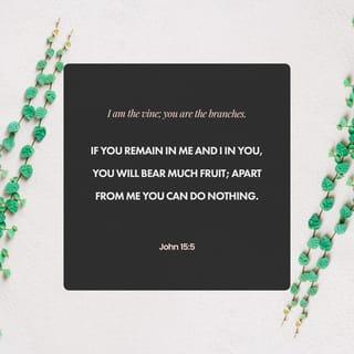 John 15:5 - I am the Vine; you are the branches. The one who remains in Me and I in him bears much fruit, for [otherwise] apart from Me [that is, cut off from vital union with Me] you can do nothing.