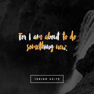 Isaiah 43:19 - See, I am doing a new thing!
Now it springs up; do you not perceive it?
I am making a way in the wilderness
and streams in the wasteland.