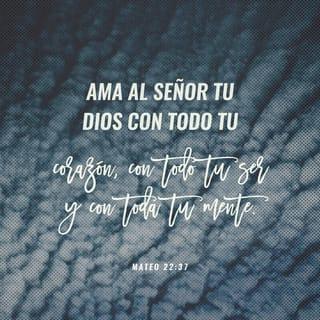 San Mateo 22:37-39 - Jesús le respondió: «“Amarás al Señor tu Dios con todo tu corazón, y con toda tu alma, y con toda tu mente.”
Este es el primero y más importante mandamiento.
Y el segundo es semejante al primero: “Amarás a tu prójimo como a ti mismo.”