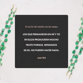 Juan 15:4-9 - »Si ustedes se mantienen unidos a mí, yo me mantendré unido a ustedes. Ya saben que una rama no puede producir uvas si no se mantiene unida a la planta. Del mismo modo, ustedes no podrán hacer nada si no se mantienen unidos a mí.
»El discípulo que se mantiene unido a mí, y con quien yo me mantengo unido, es como una rama que da mucho fruto; pero si uno de ustedes se separa de mí, no podrá hacer nada. Al que no se mantenga unido a mí, le pasará lo mismo que a las ramas que no dan fruto: las cortan, las tiran y, cuando se secan, les prenden fuego.
»Si ustedes se mantienen unidos a mí y obedecen todo lo que les he enseñado, recibirán de mi Padre todo lo que pidan. Si ustedes dan mucho fruto y viven realmente como discípulos míos, mi Padre estará orgulloso de ustedes. Así como el Padre me ama a mí, también yo los amo a ustedes. Nunca dejen de amarme.