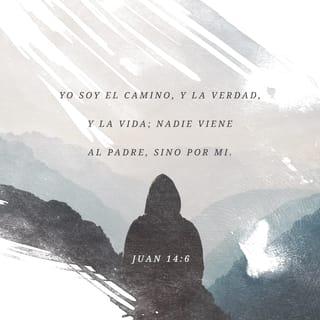 Juan 14:6 - Jesús le contestó:
—Yo soy el camino, la verdad y la vida; nadie puede ir al Padre si no es por medio de mí.