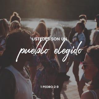 1 Pedro 2:9 - Mas vosotros sois linaje escogido, real sacerdocio, nación santa, pueblo adquirido por Dios, para que anunciéis las virtudes de aquel que os llamó de las tinieblas a su luz admirable