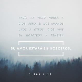 1 Juan 4:12 - Nadie ha visto jamás a Dios. Si nos amamos unos a otros, Dios permanece en nosotros, y su amor se ha perfeccionado en nosotros.