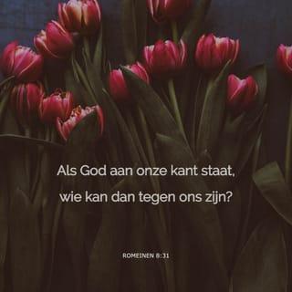 Romeinen 8:31 - Wat moeten we dan nog zeggen? Als God vóór ons is, wie kan ons dan nog kwaad doen?