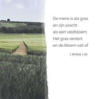 De eerste brief van Petrus 1:24-25 - Want:
Alle vlees is als gras
en al zijn heerlijkheid als een bloem in het gras;
het gras verdort
en de bloem valt af,
maar het woord des Heren blijft in der eeuwigheid.
Dit nu is het woord, dat u als evangelie verkondigd is.