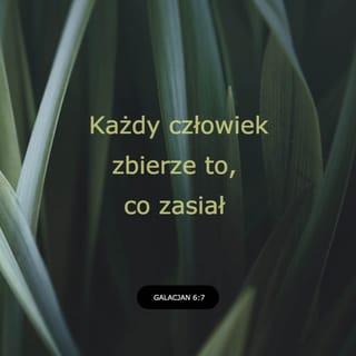 List św. Pawła do Galacjan 6:7 - Nie błądźcie, Bóg się nie da z siebie naśmiewać; albowiem co człowiek sieje, to i żąć będzie.