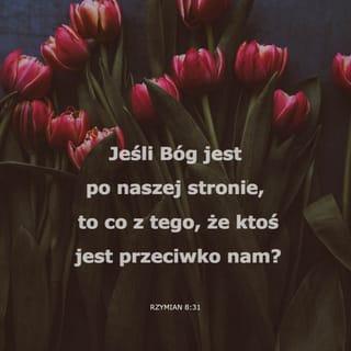 List do Rzymian 8:31-39 - Co więc, do tego powiemy? Skoro Bóg dla naszego, kto naprzeciwko nas?
On, który, zaiste, nie oszczędził swojego Syna, ale oddał go w ofierze za nas wszystkich jakby i razem z nim, życzliwie nie dał nam wszystkiego?
Kto będzie oskarżał przeciwko wybranym Boga? Bóg jest Tym, który uznaje za sprawiedliwego;
kto będzie skazującym? Chrystus, co umarł, więcej, został też wskrzeszony; ten, który jest na prawicy Boga także prosi za nami.
Któż nas oddzieli od miłości Chrystusa? Utrapienie, czy ucisk, czy prześladowanie, czy głód, czy nagość, czy niebezpieczeństwo, czy miecz?
Jak jest napisane: Dla ciebie cały czas jesteśmy uśmiercani, zostaliśmy policzeni podobnie jak owce na rzeź.
Lecz w tym wszystkim osiągamy pełne zwycięstwo, poprzez Tego, co nas miłuje.
Bo jestem przekonany, że ani śmierć, ani życie, ani aniołowie, ani władze, ani potęgi, ani rzeczy teraźniejsze, ani mające nastąpić,
ani wyniesienie, ani głębia, ani jakieś inne stworzenie nie będzie mogło nas odłączyć od miłości Boga w Jezusie Chrystusie, naszym Panu.