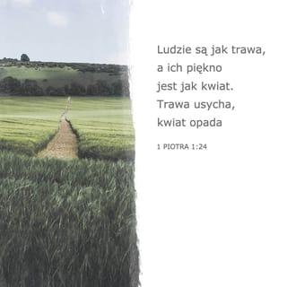 Pierwszy list św. Piotra 1:24-25 - Gdyż wszelkie ciało jest jak trawa,
A wszelka chwała jego jak kwiat trawy.
Uschła trawa,
I kwiat opadł,
Ale Słowo Pana trwa na wieki.
A jest to Słowo, które wam zostało zwiastowane.