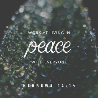 Hebrews 12:14 - Continually pursue peace with everyone, and the sanctification without which no one will [ever] see the Lord.