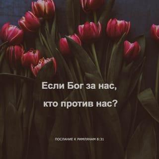 Послание к Римлянам 8:31-39 - Что же сказать на это? Если Бог за нас, кто против нас? Тот, Который Сына Своего не пощадил, но предал Его за всех нас, как с Ним не дарует нам и всего? Кто будет обвинять избранных Божиих? Бог оправдывает их. Кто осуждает? Христос Иисус умер, но и воскрес: Он и одесную Бога, Он и ходатайствует за нас. Кто отлучит нас от любви Божией: скорбь, или теснота, или гонение, или голод, или нагота, или опасность, или меч? как написано: за Тебя умерщвляют нас всякий день, считают нас за овец, обреченных на заклание. Но все сие преодолеваем силою Возлюбившего нас. Ибо я уверен, что ни смерть, ни жизнь, ни Ангелы, ни Начала, ни Силы, ни настоящее, ни будущее, ни высота, ни глубина, ни другая какая тварь не может отлучить нас от любви Божией во Христе Иисусе, Господе нашем.