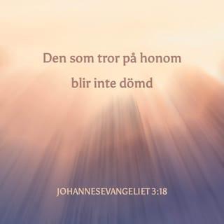 Johannes 3:18 - Den som tror på honom, han bliver icke dömd, men den som icke tror, han är redan dömd, eftersom han icke tror på Guds enfödde Sons namn.