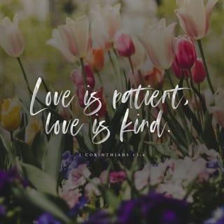 1 Corinthians 13:4 - Love is patient, love is kind. It does not envy, it does not boast, it is not proud.