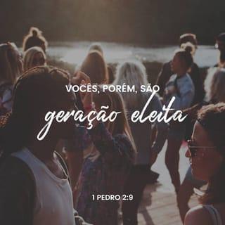 1 Pedro 2:9-10 - Mas vocês não são assim, pois foram escolhidos pelo próprio Deus — vocês são sacerdotes do Rei, são santos e puros, um povo que pertence ao próprio Deus — tudo isso para que vocês possam anunciar como Deus os chamou da escuridão para a sua maravilhosa luz. Antes vocês não chegavam a ser povo; agora são o povo de Deus. Antes vocês sabiam muito pouco da misericórdia de Deus; agora a própria vida de vocês foi mudada por ela.