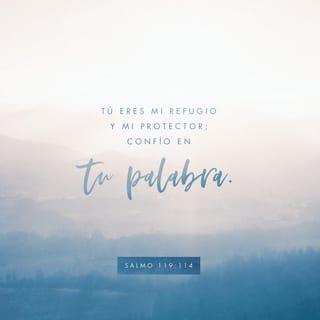 Salmos 119:113-115 - ¡Déjenme solo, gente malvada!
¡Los odio porque no son sinceros!
Pero a ti, Dios mío, te amo
y quiero seguir tus enseñanzas.
Tú me das refugio y protección;
tus promesas me llenan de esperanza.