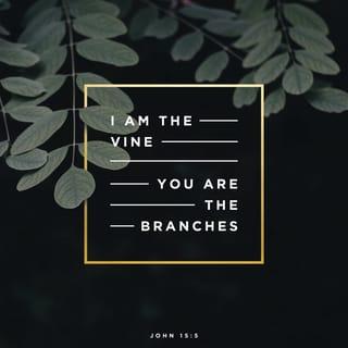 John 15:5 - I am the vine; you are the branches. Whoever abides in me and I in him, he it is that bears much fruit, for apart from me you can do nothing.