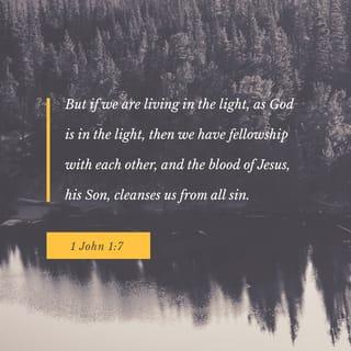 1 John 1:7-9 - But if we walk in the light, as he is in the light, we have fellowship with one another, and the blood of Jesus, his Son, purifies us from all sin.
If we claim to be without sin, we deceive ourselves and the truth is not in us. If we confess our sins, he is faithful and just and will forgive us our sins and purify us from all unrighteousness.