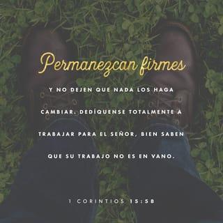 1 Corintios 15:58 - Así que, hermanos míos amados, estad firmes y constantes, creciendo en la obra del Señor siempre, sabiendo que vuestro trabajo en el Señor no es en vano.