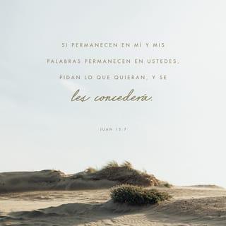 Juan 15:7 - Si ustedes permanecen en mí y mis palabras permanecen en ustedes, pueden pedir lo que quieran, ¡y les será concedido!