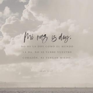 S. Juan 14:27 - La paz os dejo, mi paz os doy; yo no os la doy como el mundo la da. No se turbe vuestro corazón, ni tenga miedo.