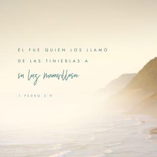 1 Pedro 2:9 RVR1960