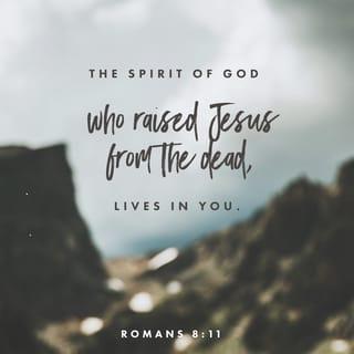 Romans 8:11-16 - And if the Spirit of him who raised Jesus from the dead is living in you, he who raised Christ from the dead will also give life to your mortal bodies because of his Spirit who lives in you.
Therefore, brothers and sisters, we have an obligation—but it is not to the flesh, to live according to it. For if you live according to the flesh, you will die; but if by the Spirit you put to death the misdeeds of the body, you will live.
For those who are led by the Spirit of God are the children of God. The Spirit you received does not make you slaves, so that you live in fear again; rather, the Spirit you received brought about your adoption to sonship. And by him we cry, “ Abba, Father.” The Spirit himself testifies with our spirit that we are God’s children.