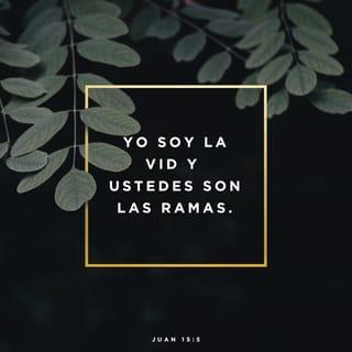 Juan 15:5 - »Yo soy la vid y ustedes son las ramas. El que permanece en mí, como yo en él, dará mucho fruto; separados de mí no pueden ustedes hacer nada.