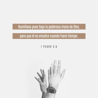 1 Pedro 5:6-7 - Humíllense, pues, bajo la poderosa mano de Dios para que él los exalte a su debido tiempo. Depositen en él toda ansiedad, porque él cuida de ustedes.