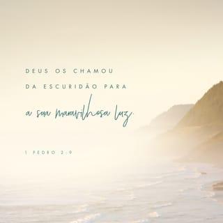 1Pedro 2:9-10 - Mas vós sois a geração eleita, o sacerdócio real, a nação santa, o povo adquirido, para que anuncieis as virtudes daquele que vos chamou das trevas para a sua maravilhosa luz; vós que, em outro tempo, não éreis povo, mas, agora, sois povo de Deus; que não tínheis alcançado misericórdia, mas, agora, alcançastes misericórdia.