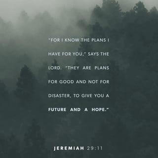 Jeremiah 29:11-14 - I say this because I know what I am planning for you,” says the LORD. “I have good plans for you, not plans to hurt you. I will give you hope and a good future. Then you will call my name. You will come to me and pray to me, and I will listen to you. You will search for me. And when you search for me with all your heart, you will find me! I will let you find me,” says the LORD. “And I will bring you back from your captivity. I forced you to leave this place, but I will gather you from all the nations, from the places I have sent you as captives,” says the LORD. “And I will bring you back to this place.”