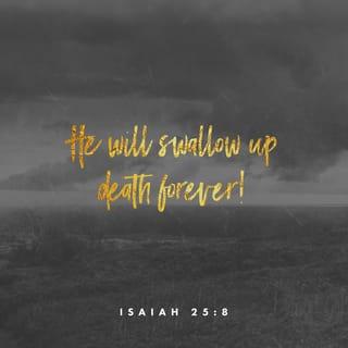 Isaiah 25:6-8 - But here on this mountain, GOD-of-the-Angel-Armies
will throw a feast for all the people of the world,
A feast of the finest foods, a feast with vintage wines,
a feast of seven courses, a feast lavish with gourmet desserts.
And here on this mountain, GOD will banish
the pall of doom hanging over all peoples,
The shadow of doom darkening all nations.
Yes, he’ll banish death forever.
And GOD will wipe the tears from every face.
He’ll remove every sign of disgrace
From his people, wherever they are.
Yes! GOD says so!