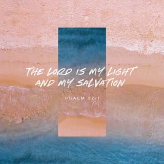 Psalms 27:1-3 - The LORD is my light and my salvation;
Whom shall I fear?
The LORD is the strength of my life;
Of whom shall I be afraid?
When the wicked came against me
To eat up my flesh,
My enemies and foes,
They stumbled and fell.
Though an army may encamp against me,
My heart shall not fear;
Though war may rise against me,
In this I will be confident.