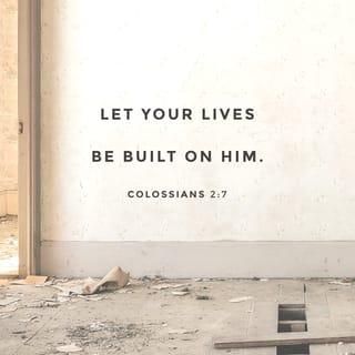 Colossians 2:7 - having been deeply rooted [in Him] and now being continually built up in Him and [becoming increasingly more] established in your faith, just as you were taught, and overflowing in it with gratitude.